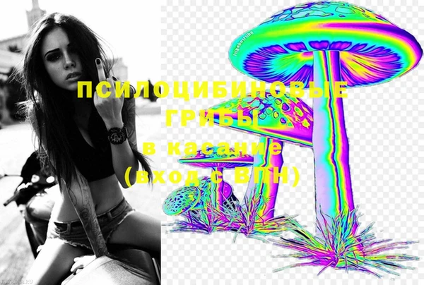 мяу мяу мука Зеленодольск