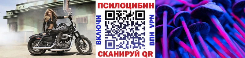 Купить закладки  Володарск  Псилоцибиновые грибы прущие грибы 