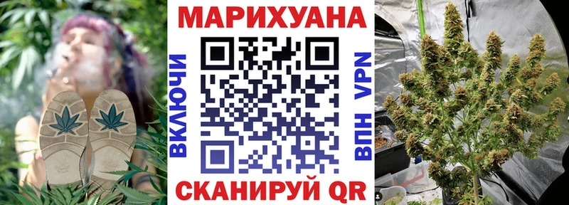 Канабис план  Купить закладки  Володарск 